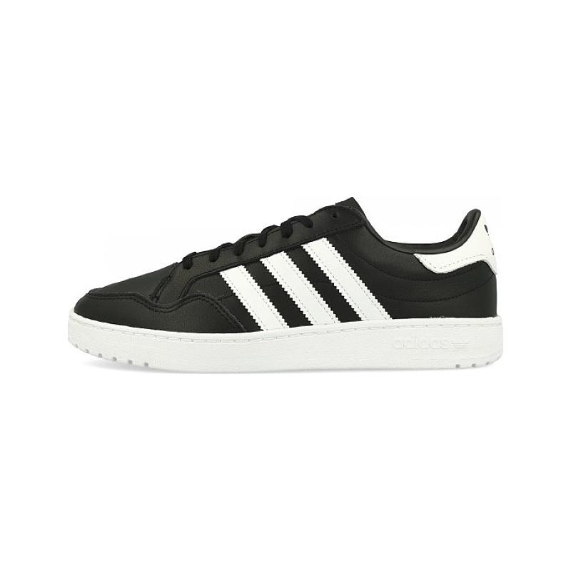 Adidas Team Court EF6048 from 58,95