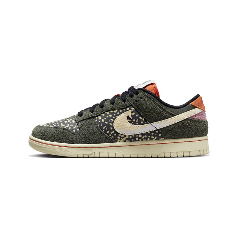 Nike Dunk Rainbow Trout FN7523-300