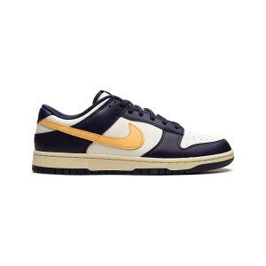 Nike Dunk From To You FV8106-181