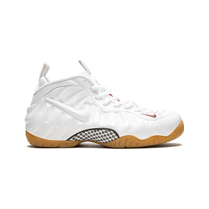 Nike Air Foamposite Pro 624041-102