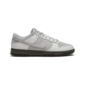 Nike Dunk Ironstone FD9746-001