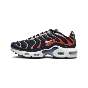 Nike Air Max Plus CD0609-107 from 75,00 €