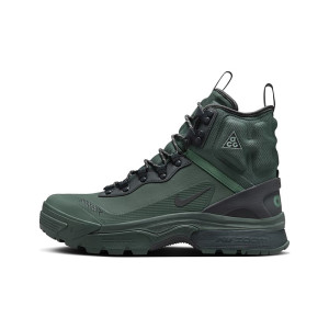 Nike ACG Air Zoom Gaiadome Gore TEX DD2858-401 from 112,99 €