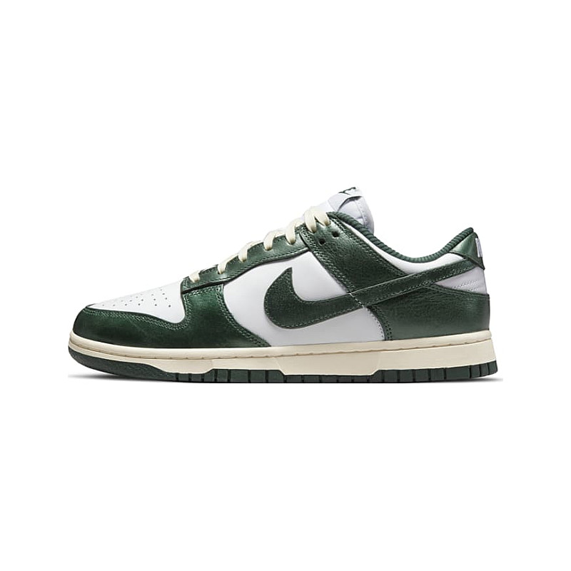 Nike Dunk DQ8580-100