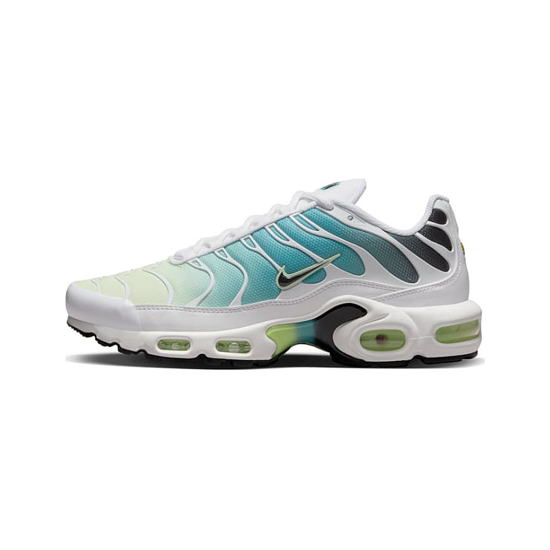 Nike Air Max Plus Dusty Cactus Barely S Size 9 DZ3670 102 92 00