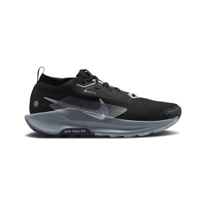 Nike Pegasus 5 Gore TEX Wolf S Size 10 FQ0908-001