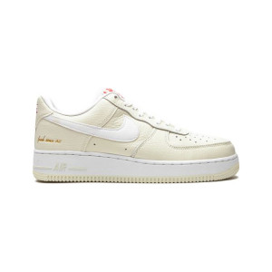 Nike Air Force 1 07 EMB CW2919-100