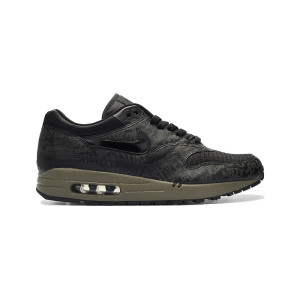 Nike Air Max 1 Powerwall 314199-001