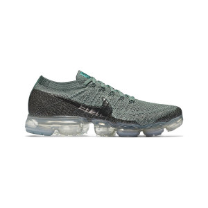 Nike Air Vapormax Metallic Clay AR4500-303