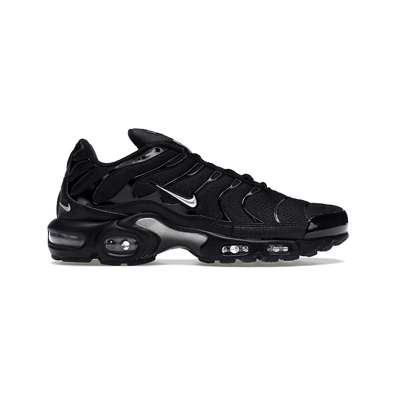 Nike Air Max Plus Mini Swoosh DX8971 001 194 00