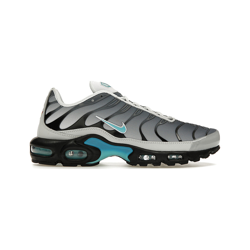 Nike Air Max Plus One Block Down Matte FZ3308 001 from 397 00