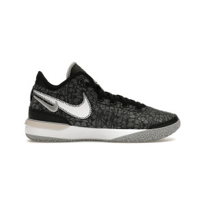 Nike Zoom Lebron Nxxt Gen 1984 DR8784-002 from 70,00 € display picture 1