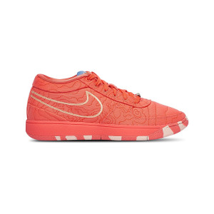 Nike Book 1 Sedona IB8054-800 from 121,00 €