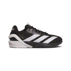 adidas Adizero Cybersonic 2 Zero Metalic Carbon IH2561 from 293,00 €