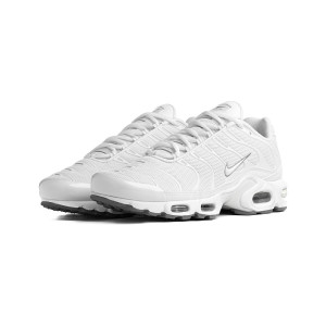 Nike Air Max Plus Tuned 1 604133-139