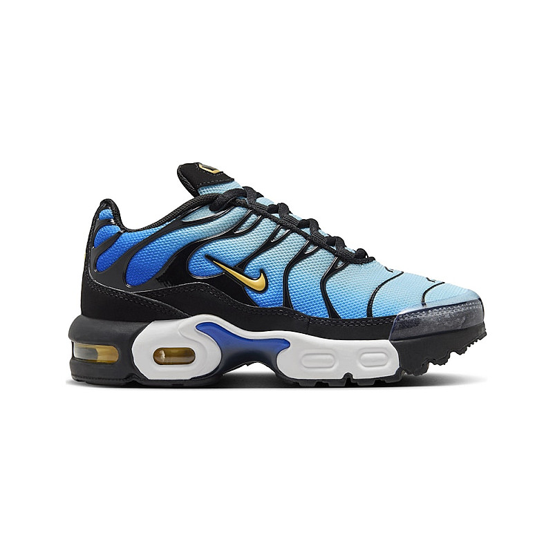 Nike Air Max Plus Hyper FZ0023-032 from 147,00 €