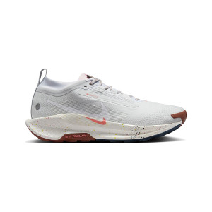 Nike React Pegasus 5 Gore TEX Pure Platinum Foam FQ0908-009