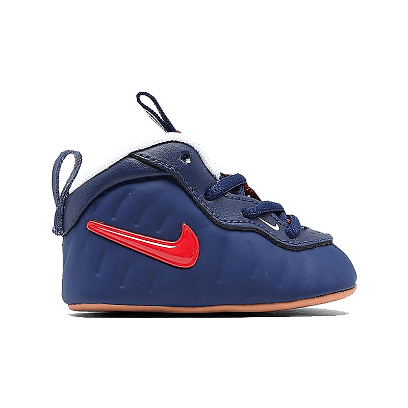 Nike Air Foamposite Pro Void I 643145-405