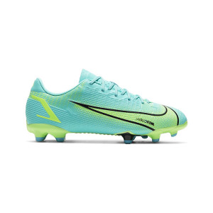Nike Mercurial Vapor 14 Academy Mg Blackened DJ2869-054 from 159,00 €