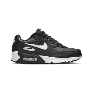 Nike Air Max 90 2022 FD0664-001 from 188,00 €