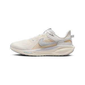 Nike Air Zoom Pegasus 41 SP HQ6025-300 から 80,00 €