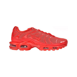 Nike Air Max Plus University 604133-604