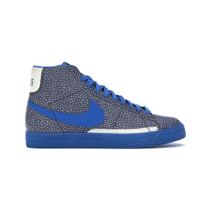 Nike SB Blazer In The Dark 312457-041