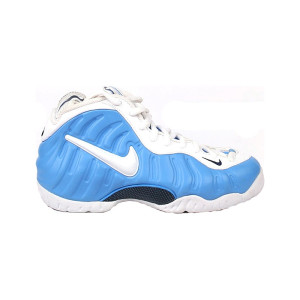 Nike Air Foamposite Pro 624041-411