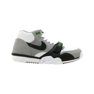 Nike Air 1 Chlorophyll S Size 8 304275-102