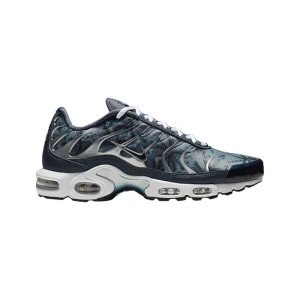 Nike Air Max Plus Palm Pack S Size 8 CI2301-400