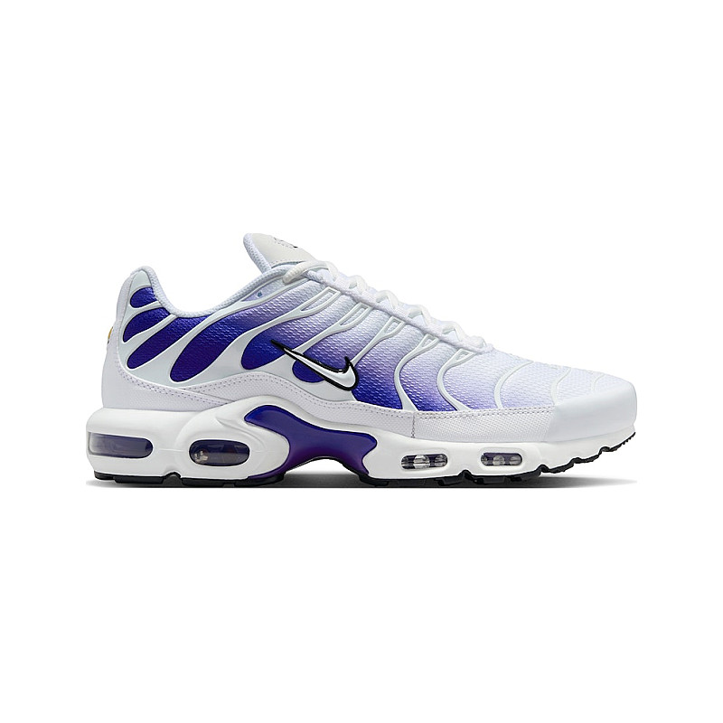 Nike Air Max Plus Wild Grape DM0032-105 from 114,00 €