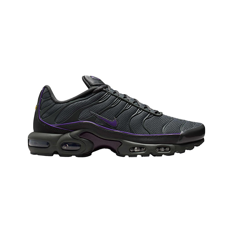 Nike Air Max Plus Iron Wild Grape S Size 6 5 HV8066-001 from 204,00 €