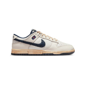 Nike Dunk Lux Burnished SP 747138-221 from 829,00 €