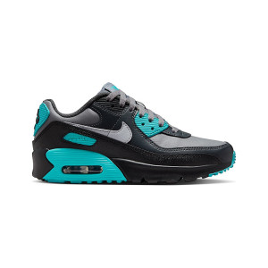 Nike Air Max 90 Easyon Cool Dusty Cactus Wolf IH1417-027 from 107,00 €