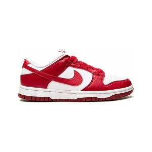 Nike Dunk Next Nature Gym DN1431-101