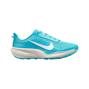 Nike ACG Pegasus Baltic Summit S Size 10 HV8116-400