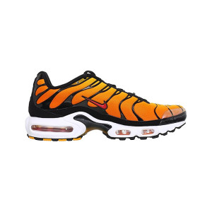 Nike Air Max Plus Sunset 2014 604133-886