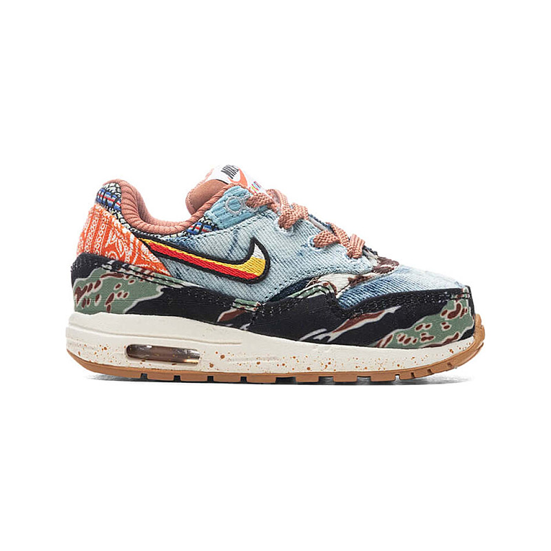 Nike Air Max 1 SP Concepts Heavy DR2363-700