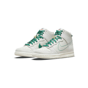 Nike Dunk First Use Noise 1