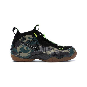 Nike Air Foamposite Pro LE 587547-300