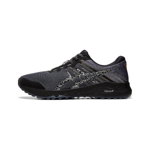 Asics Alpine XT 2 Carrier 1011A564-020