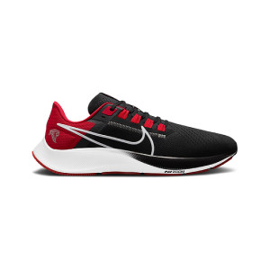 falcons nike pegasus