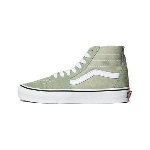 Color Theory SK8 Hi Tapered Sage