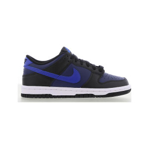 Nike Dunk Back To Cool 0