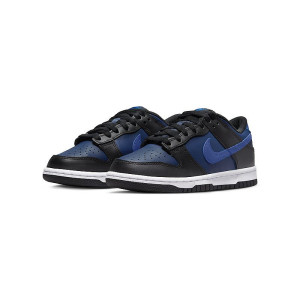 Nike Dunk Back To Cool 1