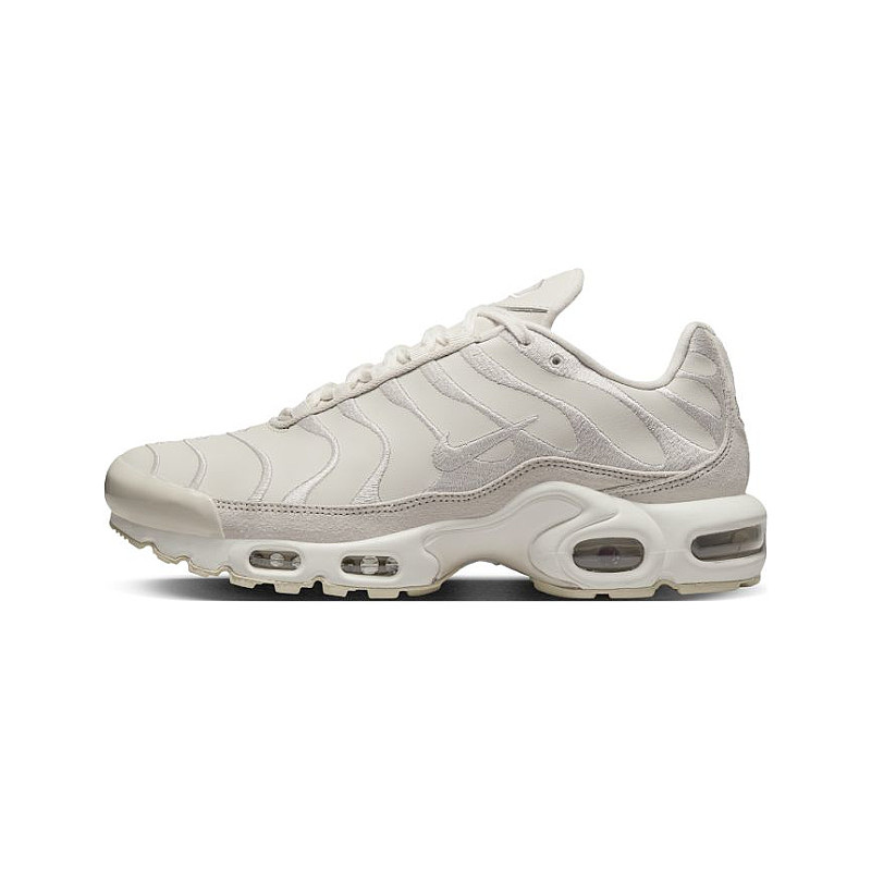 Nike Air Max Plus DZ2832-100 from 153,00