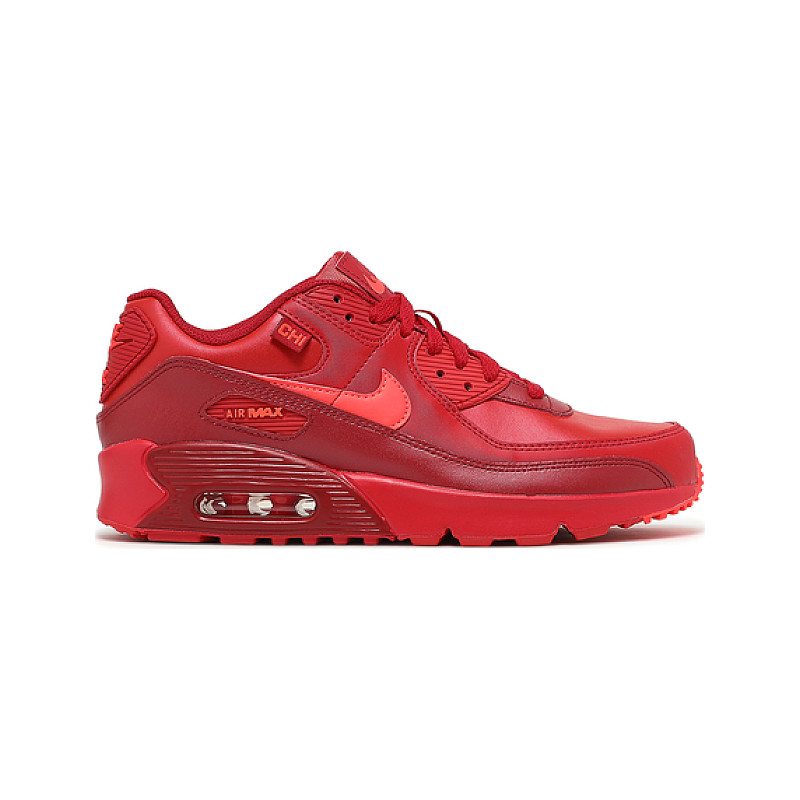 Nike Air Max 90 City Special Chicago DH0149-600