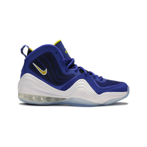 Air Penny 5 Chips