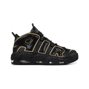 Air More Uptempo France