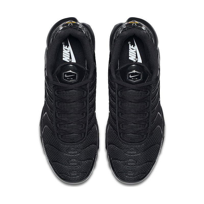 Nike Air Max Plus 604133-050